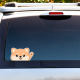 Example of a kawaii cute Shiba Inu Peeker vinyl sticker on the back of a SUV windshield. Drawn and designed by Bare It Designs, Edmonton, AB, Canada.