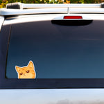 Example of a kawaii cute Not Impressed Ginger Peeker vinyl sticker on the back of a SUV windshield. Drawn and designed by Bare It Designs, Edmonton, AB, Canada.
