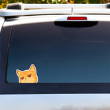 Example of a kawaii cute Not Impressed Ginger Peeker vinyl sticker on the back of a SUV windshield. Drawn and designed by Bare It Designs, Edmonton, AB, Canada.