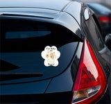 Demo of the "Fur Baby on Board" vinyl decal applied to the rear windshield of a vehicle.